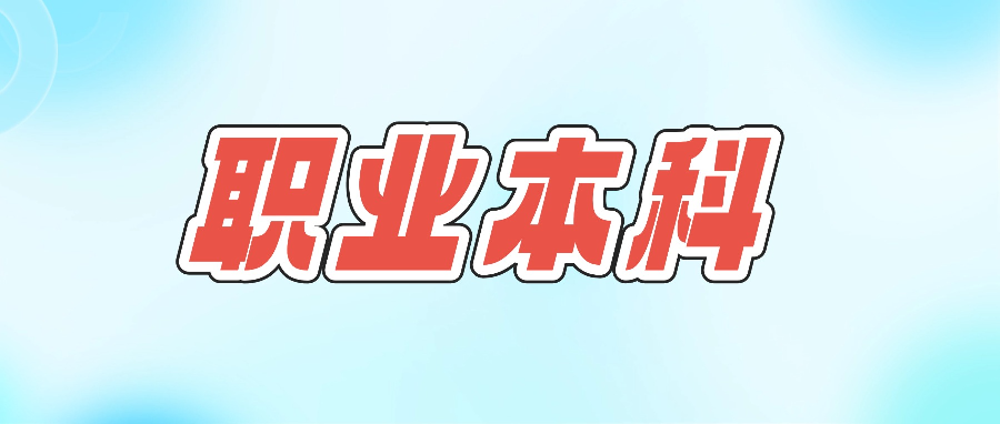 从“一枝独秀”到“百花齐放”，职业本科如何实现高质量内涵发展？
